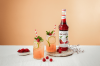 Monin Premium Raspberry Flavoring / Fruit Syrup, 1 liter, 4 per case
