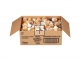 Coffee Mate Coffee Creamer Vanilla Caramel Singles 180 ct