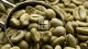 El Salvador Finca Hungria Organic Unroasted Coffee Beans 25 lbs